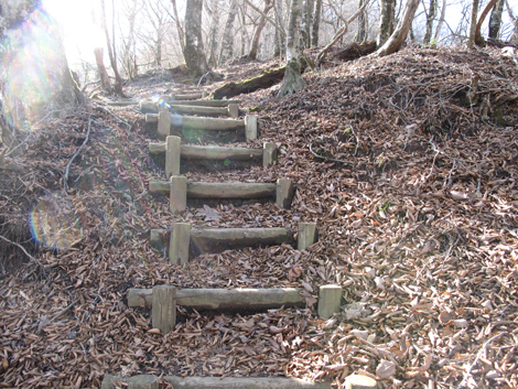 20161206hike (220)